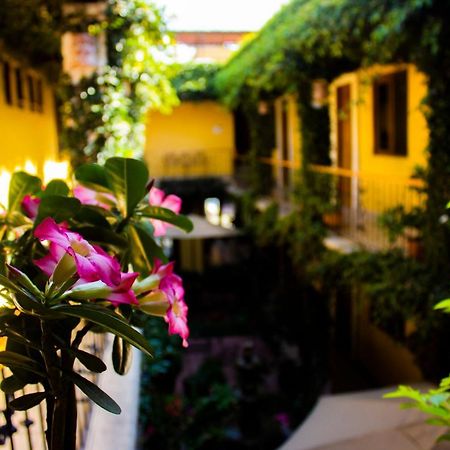 Hotel Dainzu Oaxaca 外观 照片