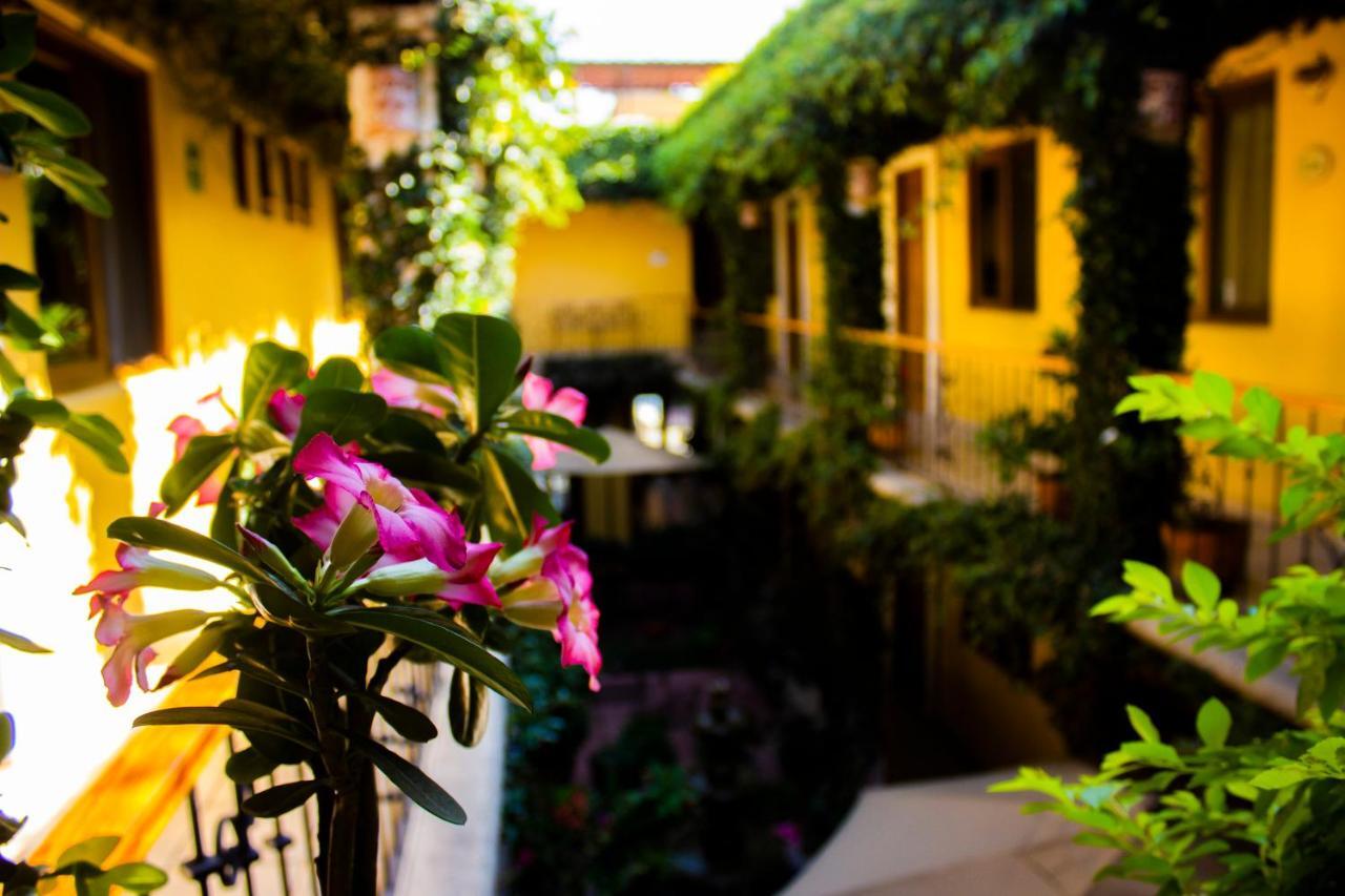 Hotel Dainzu Oaxaca 外观 照片